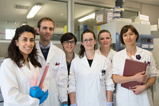 Ricerca all'Università di Bologna: raccolti più di 100 milioni di euro dai finanziamenti europei Horizon 2020 Ricerca all'Università di Bologna: raccolti più di 100 milioni di euro dai finanziamenti europei Horizon 2020